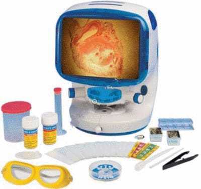 SS Examination Table